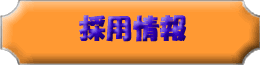 �ېV�h�� �̗p���