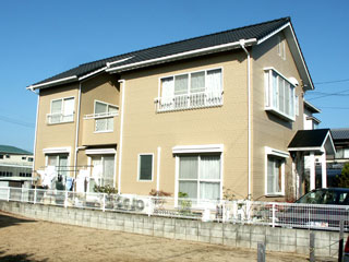 �h��ւ��A�h���A���t�H�[���A�O�ǐf�f�A�h���A�A�X�x�X�g�΍�A���G�}�A�ቘ���h�� �h���̂��ƂȂ�ېV�h���@- �V�K�{�H�� -