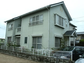 �h��ւ��A�h���A���t�H�[���A�O�ǐf�f�A�h���A�A�X�x�X�g�΍�A���G�}�A�ቘ���h�� �h���̂��ƂȂ�ېV�h���@- �V�K�{�H�� -