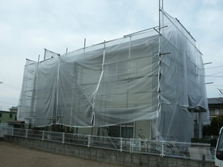 �h��ւ��A�h���A���t�H�[���A�O�ǐf�f�A�h���A�A�X�x�X�g�΍�A���G�}�A�ቘ���h�� �h���̂��ƂȂ�ېV�h���@- �V�K�{�H�� -