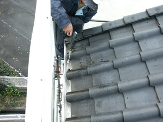 �h��ւ��A�h���A���t�H�[���A�O�ǐf�f�A�h���A�A�X�x�X�g�΍�A���G�}�A�ቘ���h�� �h���̂��ƂȂ�ېV�h���@- �V�K�{�H�� -