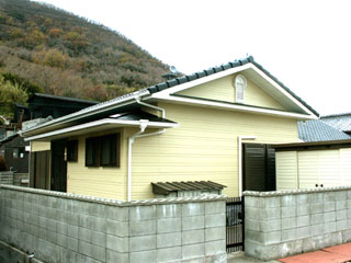 �h��ւ��A�h���A���t�H�[���A�O�ǐf�f�A�h���A�A�X�x�X�g�΍�A���G�}�A�ቘ���h�� �h���̂��ƂȂ�ېV�h���@- �V�K�{�H�� -