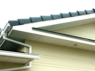 �h��ւ��A�h���A���t�H�[���A�O�ǐf�f�A�h���A�A�X�x�X�g�΍�A���G�}�A�ቘ���h�� �h���̂��ƂȂ�ېV�h���@- �V�K�{�H�� -