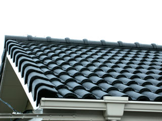 �h��ւ��A�h���A���t�H�[���A�O�ǐf�f�A�h���A�A�X�x�X�g�΍�A���G�}�A�ቘ���h�� �h���̂��ƂȂ�ېV�h���@- �V�K�{�H�� -