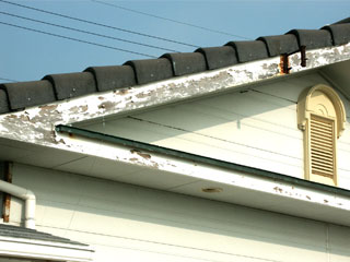 �h��ւ��A�h���A���t�H�[���A�O�ǐf�f�A�h���A�A�X�x�X�g�΍�A���G�}�A�ቘ���h�� �h���̂��ƂȂ�ېV�h���@- �V�K�{�H�� -