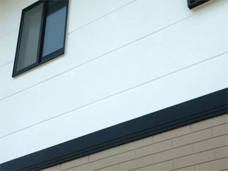 �h��ւ��A�h���A���t�H�[���A�O�ǐf�f�A�h���A�A�X�x�X�g�΍�A���G�}�A�ቘ���h�� �h���̂��ƂȂ�ېV�h���@- �V�K�{�H�� -