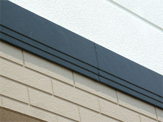 �h��ւ��A�h���A���t�H�[���A�O�ǐf�f�A�h���A�A�X�x�X�g�΍�A���G�}�A�ቘ���h�� �h���̂��ƂȂ�ېV�h���@- �V�K�{�H�� -