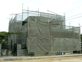 �h��ւ��A�h���A���t�H�[���A�O�ǐf�f�A�h���A�A�X�x�X�g�΍�A���G�}�A�ቘ���h�� �h���̂��ƂȂ�ېV�h���@- �V�K�{�H�� -