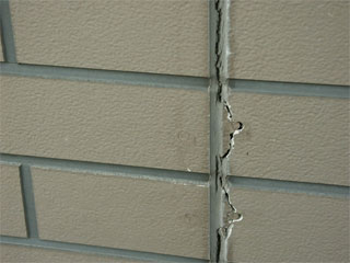 �h��ւ��A�h���A���t�H�[���A�O�ǐf�f�A�h���A�A�X�x�X�g�΍�A���G�}�A�ቘ���h�� �h���̂��ƂȂ�ېV�h���@- �V�K�{�H�� -