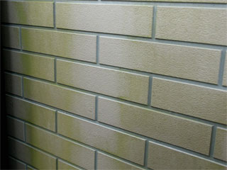 �h��ւ��A�h���A���t�H�[���A�O�ǐf�f�A�h���A�A�X�x�X�g�΍�A���G�}�A�ቘ���h�� �h���̂��ƂȂ�ېV�h���@- �V�K�{�H�� -