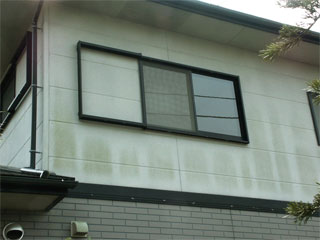 �h��ւ��A�h���A���t�H�[���A�O�ǐf�f�A�h���A�A�X�x�X�g�΍�A���G�}�A�ቘ���h�� �h���̂��ƂȂ�ېV�h���@- �V�K�{�H�� -