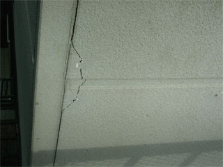 �h��ւ��A�h���A���t�H�[���A�O�ǐf�f�A�h���A�A�X�x�X�g�΍�A���G�}�A�ቘ���h�� �h���̂��ƂȂ�ېV�h���@- �V�K�{�H�� -