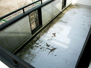 �h��ւ��A�h���A���t�H�[���A�O�ǐf�f�A�h���A�A�X�x�X�g�΍�A���G�}�A�ቘ���h�� �h���̂��ƂȂ�ېV�h���@- �V�K�{�H�� -