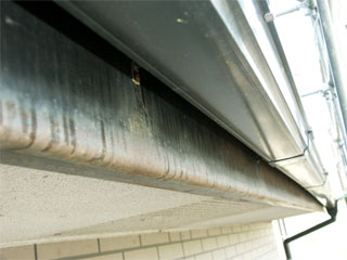 �h��ւ��A�h���A���t�H�[���A�O�ǐf�f�A�h���A�A�X�x�X�g�΍�A���G�}�A�ቘ���h�� �h���̂��ƂȂ�ېV�h���@- �V�K�{�H�� -