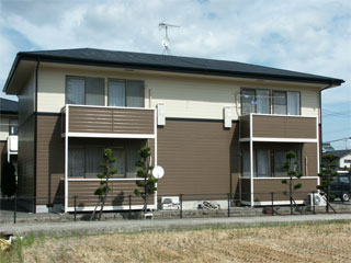 �h��ւ��A�h���A���t�H�[���A�O�ǐf�f�A�h���A�A�X�x�X�g�΍�A���G�}�A�ቘ���h�� �h���̂��ƂȂ�ېV�h���@- �V�K�{�H�� -