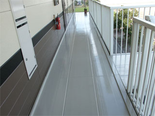 �h��ւ��A�h���A���t�H�[���A�O�ǐf�f�A�h���A�A�X�x�X�g�΍�A���G�}�A�ቘ���h�� �h���̂��ƂȂ�ېV�h���@- �V�K�{�H�� -