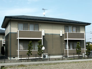 �h��ւ��A�h���A���t�H�[���A�O�ǐf�f�A�h���A�A�X�x�X�g�΍�A���G�}�A�ቘ���h�� �h���̂��ƂȂ�ېV�h���@- �V�K�{�H�� -