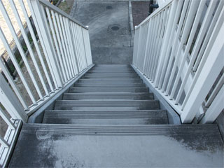 �h��ւ��A�h���A���t�H�[���A�O�ǐf�f�A�h���A�A�X�x�X�g�΍�A���G�}�A�ቘ���h�� �h���̂��ƂȂ�ېV�h���@- �V�K�{�H�� -