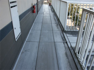 �h��ւ��A�h���A���t�H�[���A�O�ǐf�f�A�h���A�A�X�x�X�g�΍�A���G�}�A�ቘ���h�� �h���̂��ƂȂ�ېV�h���@- �V�K�{�H�� -