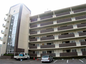 �ېV�h�� - �V�K�{�H�� - �S�́E�{�H��