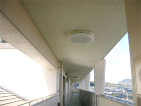 �ېV�h�� - �V�K�{�H�� - �L��/�V��E�{�H��