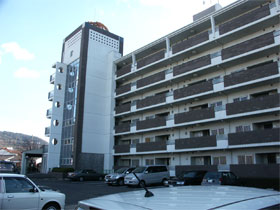 �ېV�h�� - �V�K�{�H�� - �S�́E�{�H�O