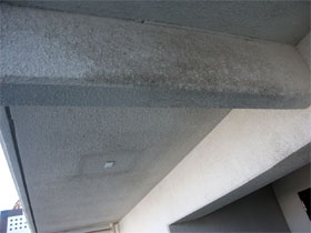 �ېV�h�� - �V�K�{�H�� - �L���V��E�{�H�O