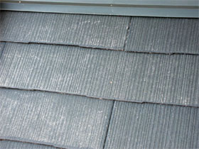 �ېV�h�� - �V�K�{�H�� - ���E�{�H�O