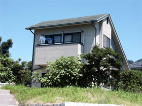 �ېV�h�� - �V�K�{�H�� - �O�ϓ�ʁE�{�H�O