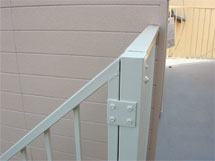 �h��ւ��A�h���A���t�H�[���A�O�ǐf�f�A�h���A�A�X�x�X�g�΍�A���G�}�A�ቘ���h�� �h���̂��ƂȂ�ېV�h���@- �V�K�{�H�� -