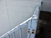 �h��ւ��A�h���A���t�H�[���A�O�ǐf�f�A�h���A�A�X�x�X�g�΍�A���G�}�A�ቘ���h�� �h���̂��ƂȂ�ېV�h���@- �V�K�{�H�� -