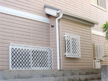 �h��ւ��A�h���A���t�H�[���A�O�ǐf�f�A�h���A�A�X�x�X�g�΍�A���G�}�A�ቘ���h�� �h���̂��ƂȂ�ېV�h���@- �V�K�{�H�� -