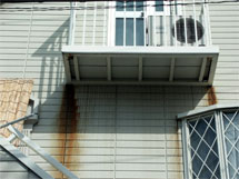 �h��ւ��A�h���A���t�H�[���A�O�ǐf�f�A�h���A�A�X�x�X�g�΍�A���G�}�A�ቘ���h�� �h���̂��ƂȂ�ېV�h���@- �V�K�{�H�� -